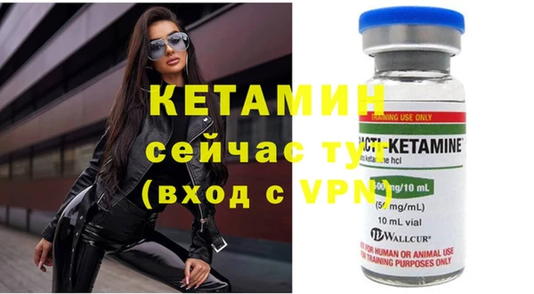 индика Белокуриха