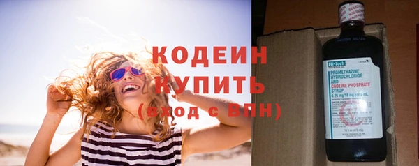 индика Белокуриха