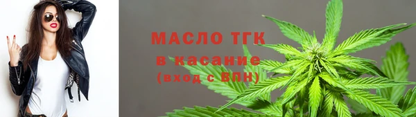 индика Белокуриха