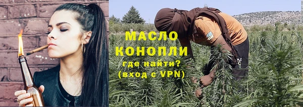 индика Белокуриха
