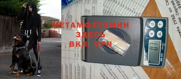 индика Белокуриха