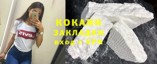 индика Белокуриха